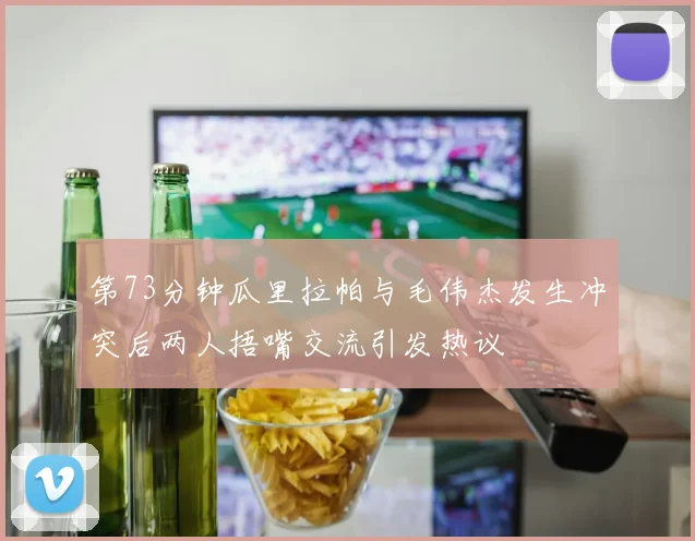 第73分钟瓜里拉帕与毛伟杰发生冲突后两人捂嘴交流引发热议